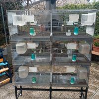 batteria gabbia borgovit