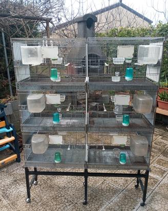 batteria gabbia borgovit