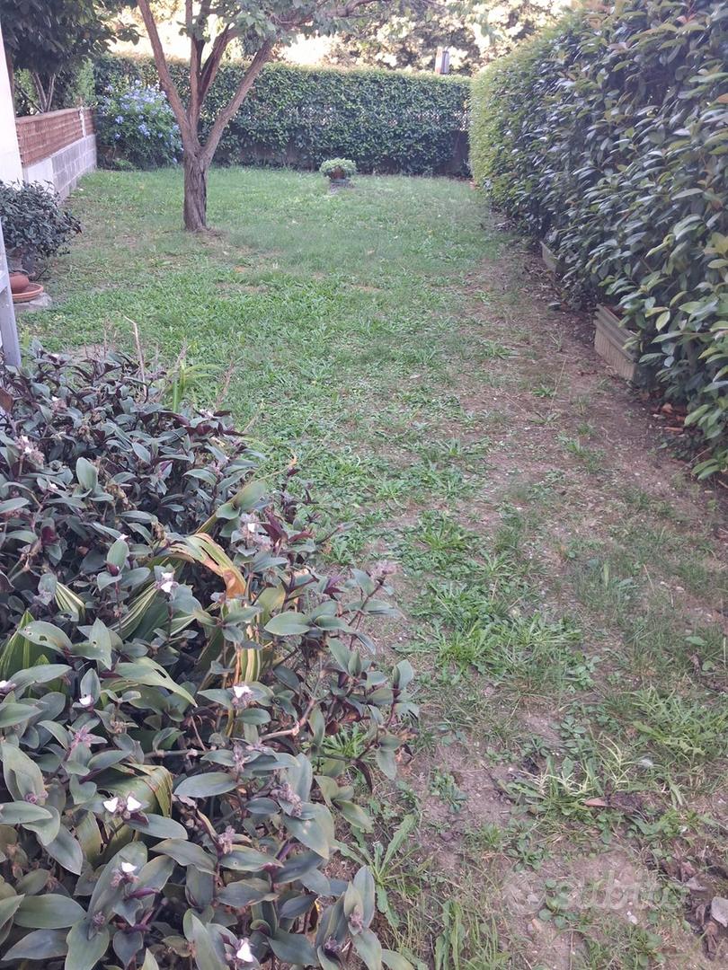 Appartamento – LI - Vista 3