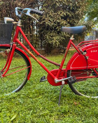 Bicicletta da donna Doniselli