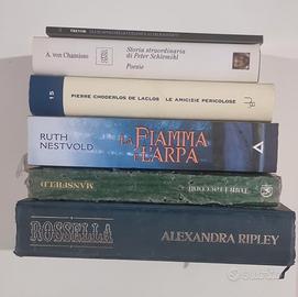Lotto 6 libri Classici e Romanzi Storici