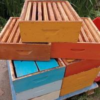 melari per apicoltura 