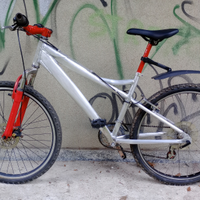 Mountain bike