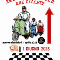 vespa faro basso gs ss rally