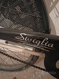 bicicletta