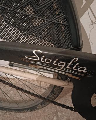 bicicletta
