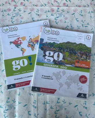 Libri scuola - terza media - geografia