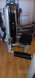 Leg curl sport vision