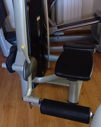 Leg curl sport vision