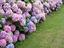 Immagine 25