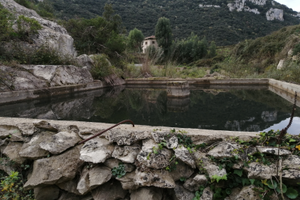 Terreno disponibile subito