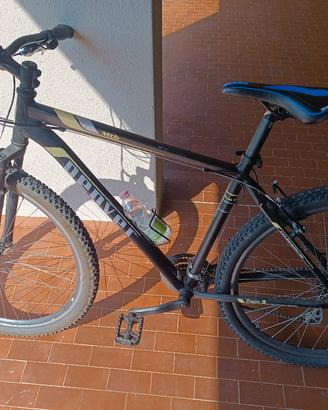 Mountain bike ruote da 29