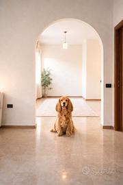 Bilivello di pregio con giardino e garage doppio