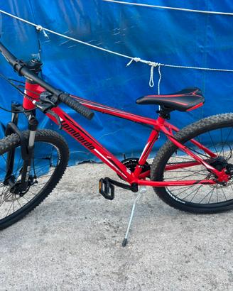 Mountain bike lombardo sestriere 270