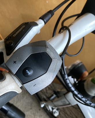 Bicicletta e-bike TREKKING