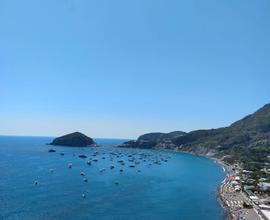 Casa vacanza Ischia Last minute Agosto