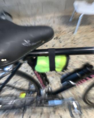 Bici da corsa vintage