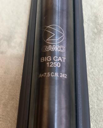 Big Cat Gamo