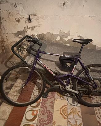 Mountain Bike marca Carraro