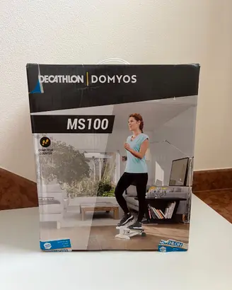 Mini stepper palestra