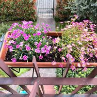 fioriere balconiere portavasi regolabili 50 cm