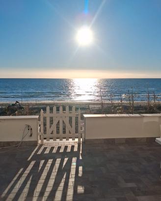 The suite on the beach torvaianica