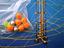 Immagine 5