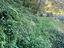 Immagine 27