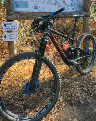 Specialized mtb/dh full carbon 2023 taglia L