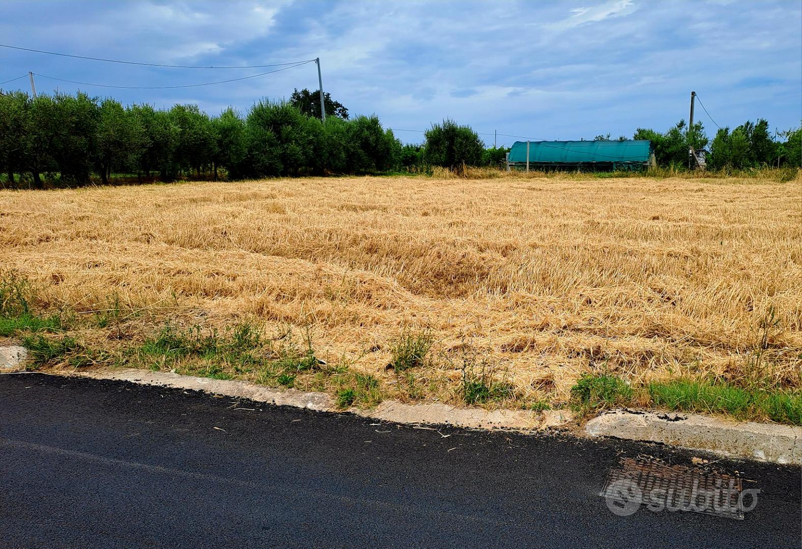Terreno Agricolo 1.500mq fronte strada con serviz - Vista 4