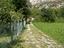 Immagine 4