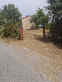 Terreno agricolo con due casolari