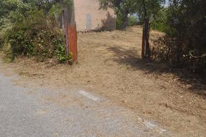 Terreno agricolo con un casolare