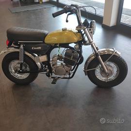 CIMATTI BOBCAT 1971