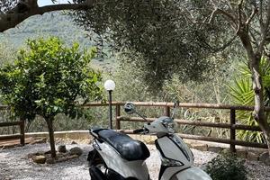 Piaggio Liberty 50 S (2023) - per scarso utilizzo