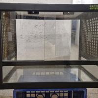 Teca terrario per rettili e anfibi