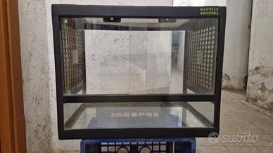Teca terrario per rettili e anfibi
