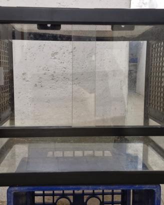 Teca terrario per rettili e anfibi