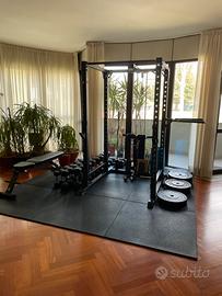 Home Gym Lacertosus