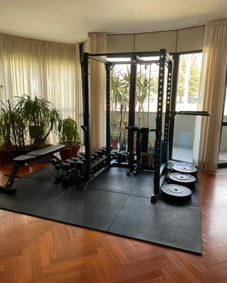 Home Gym Lacertosus