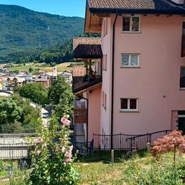 Vista mozzafiato nel cuore del Trentino