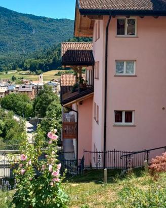 Last minute in trentino