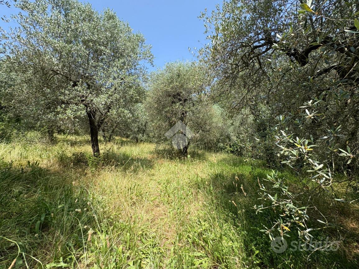 TER. AGRICOLO A NARNI - Vista 3