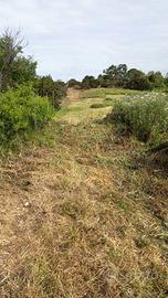 Terreno agricolo