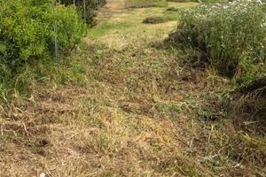Terreno agricolo