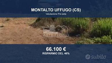 Immobile in asta di 1600 m² a Montalto Uffugo