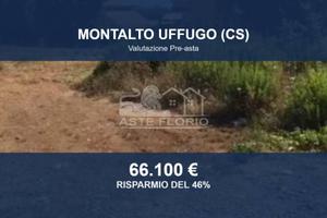Immobile in asta di 1600 m² a Montalto Uffugo