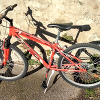 Mtb bicicletta 