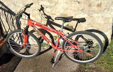 Mtb bicicletta 