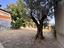 Immagine 14
